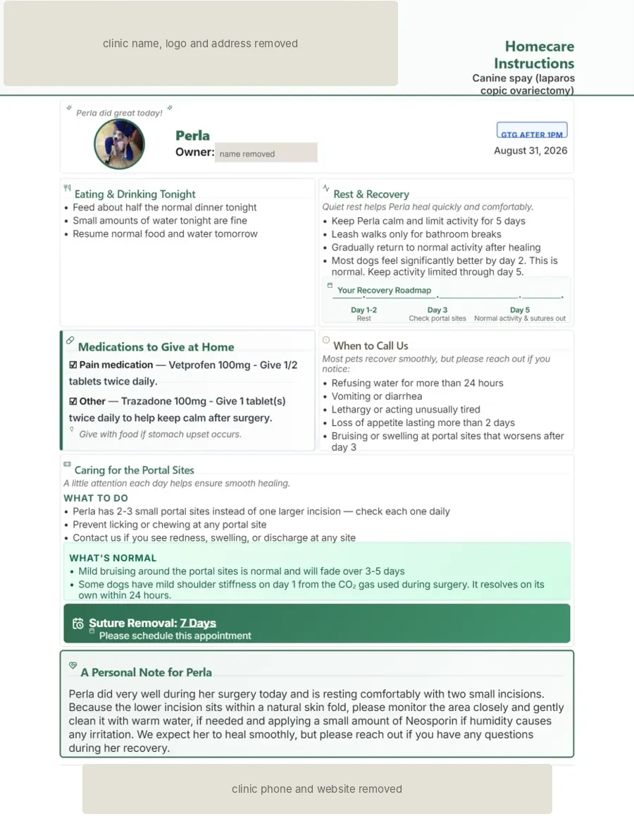 A DischargePro go-home sheet for a dog after a laparoscopic spay, with the clinic and owner details boxed out.