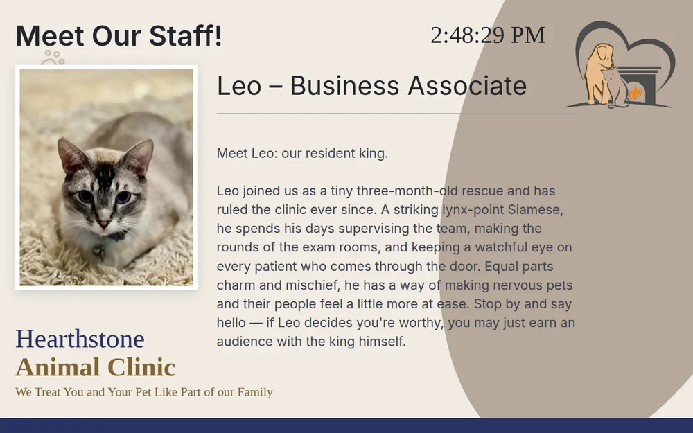 Digital signage: The screens in the lobby, driven from a database instead of a USB stick. The team, the clinic cats, seasonal reminders, all on a schedule. That's Leo, our business associate, on the lobby TV. The link opens the actual lobby show.